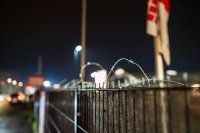 Polizei mit Großaufgebot in Gießen