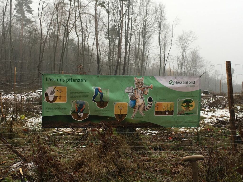 Baumaktion112_jk (6).JPG