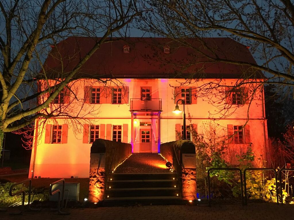 OrangeRosbach112_jk (1).JPG