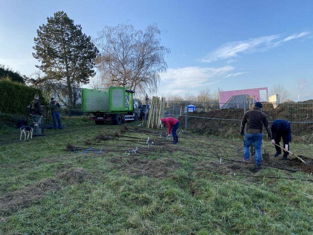 Pflanzaktion1712_jk (2).jpg