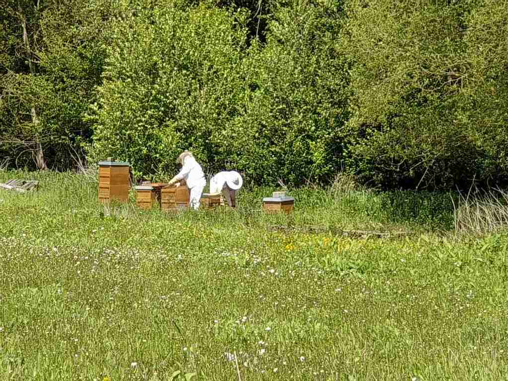 Stadtradeln Rosbach (4).jpg