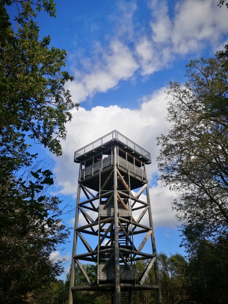 Mädchenlauf1509_jk (2).jpg