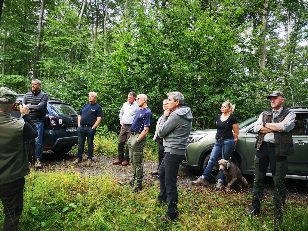 Waldbegehung2909_jk (2).jpg