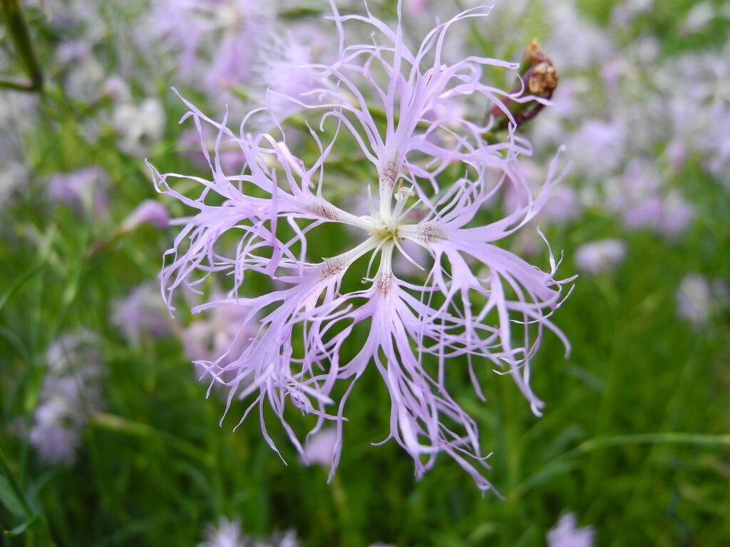 WanderungStaden1609_jk (3).jpg