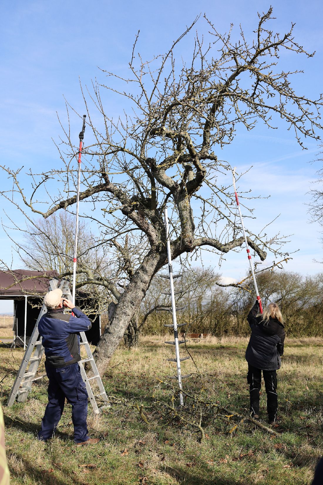 schnittkursoweflel az
