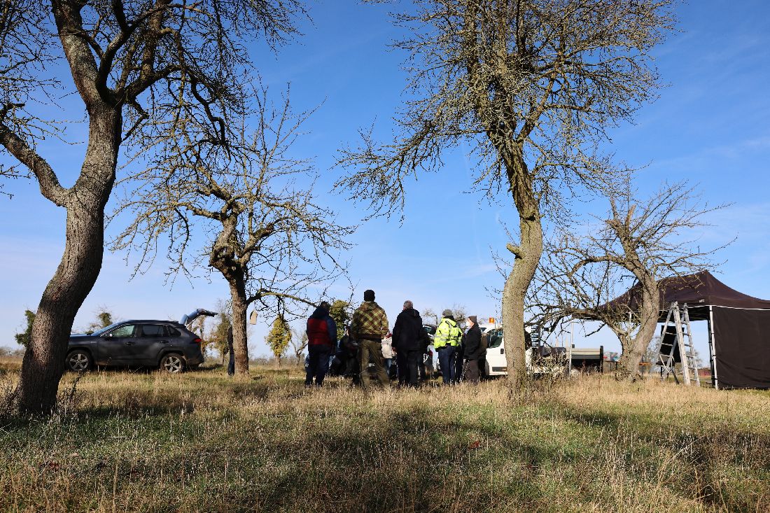 schnittkursoweflel az2