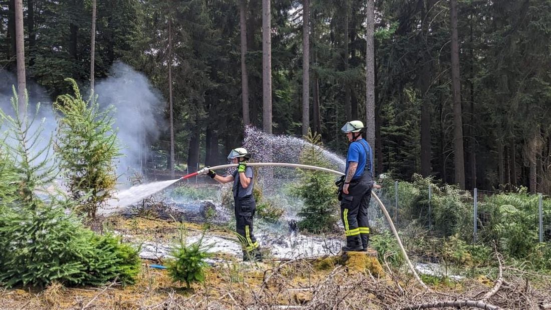 buedgrudnwaldbab az1