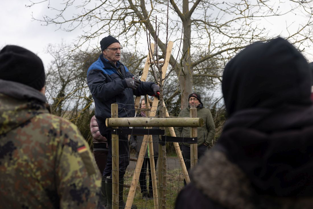 schnittkursowelfers auz1