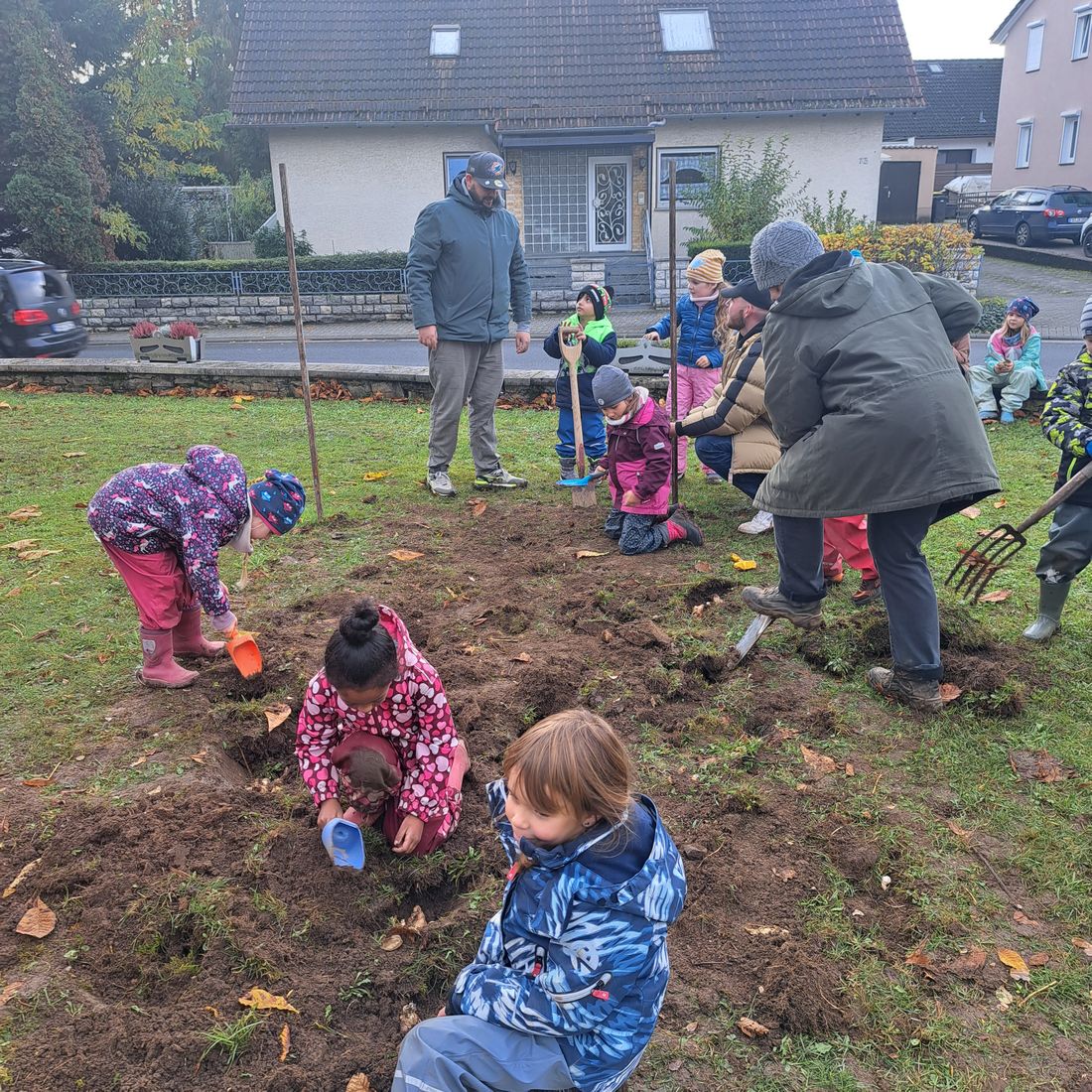 konfettirosbafruh az