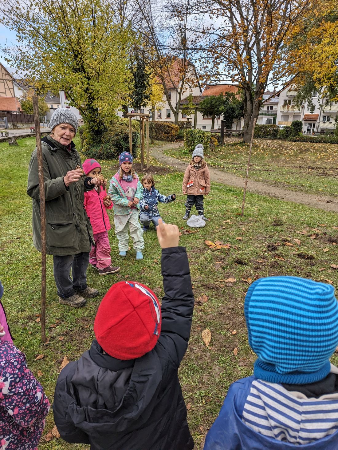 konfettirosbafruh az1