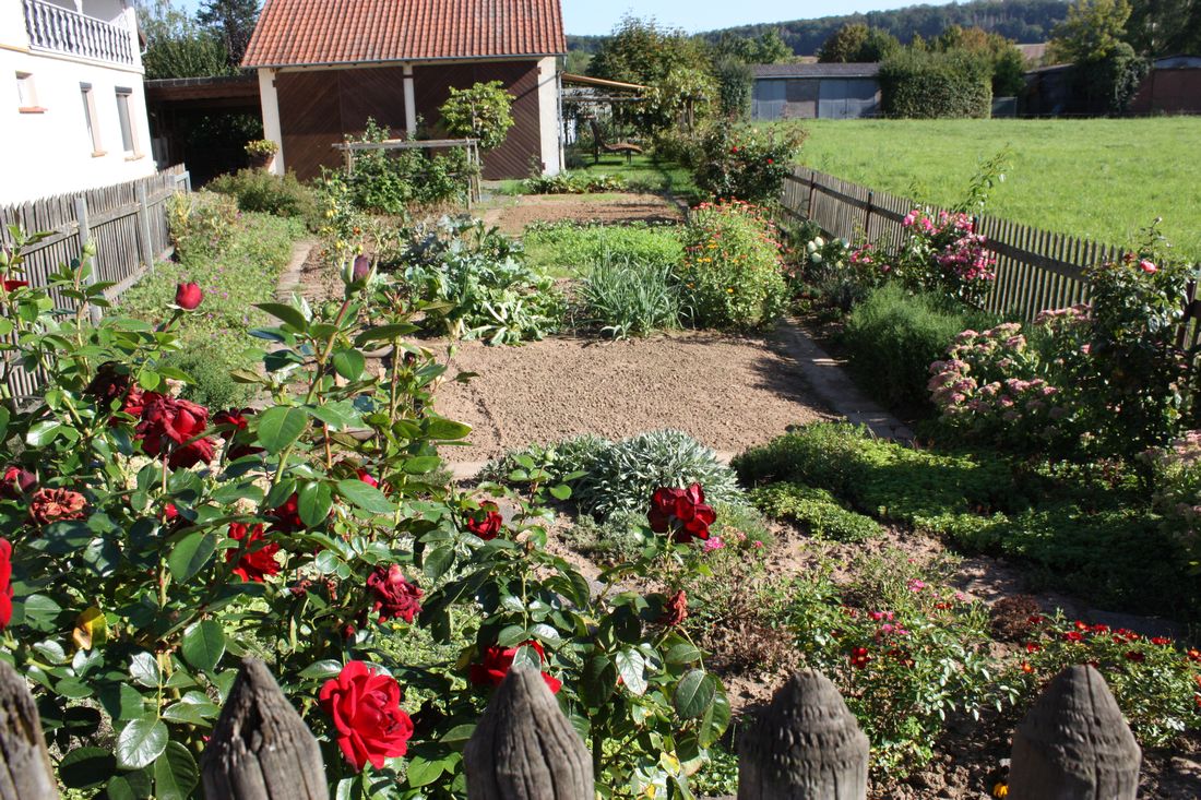 diebachamhaagrue az1