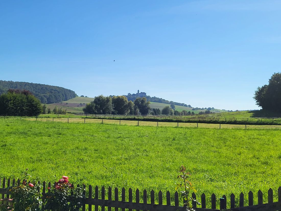 diebachamhaagrue az2