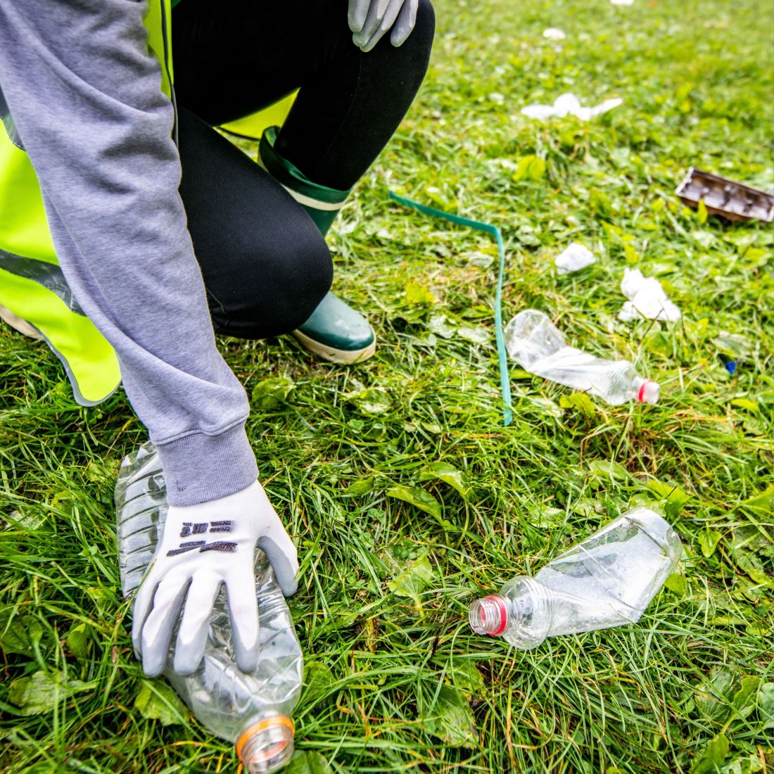 sauberhaftesrosbach2 kg