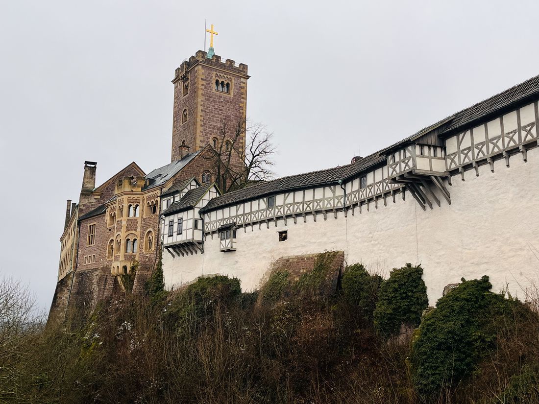 schlossweihnrosb az8