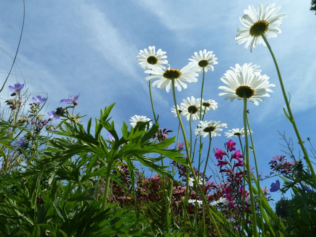 foerderwerkstatt2 kg