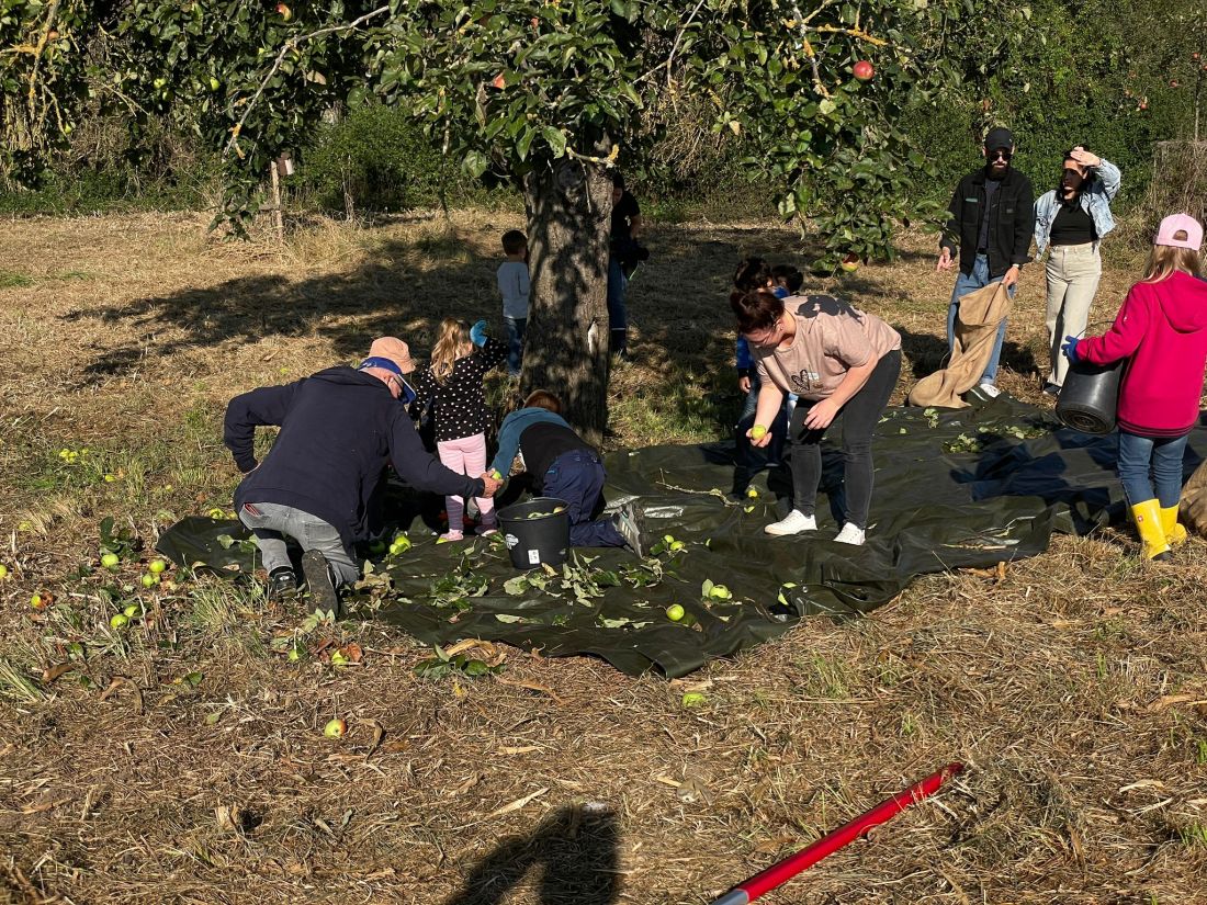 Vom Baum ins Glas1 AG