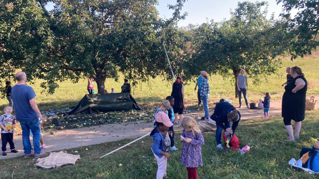 Vom Baum ins Glas3 AG