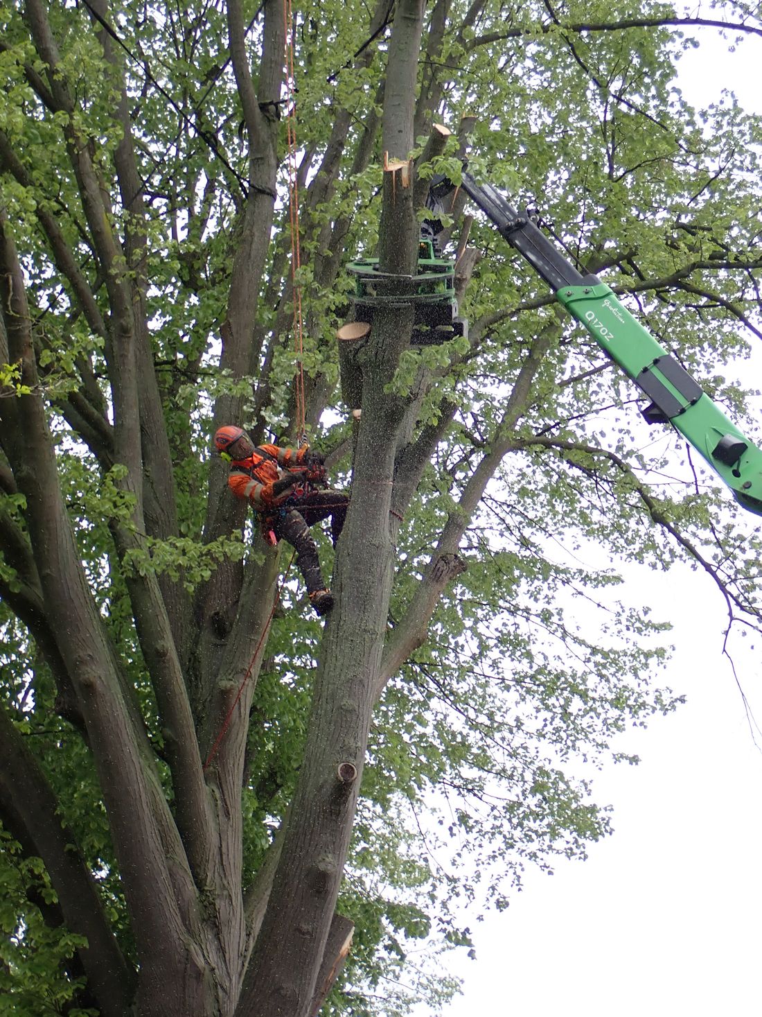 starkastbuedingen az1