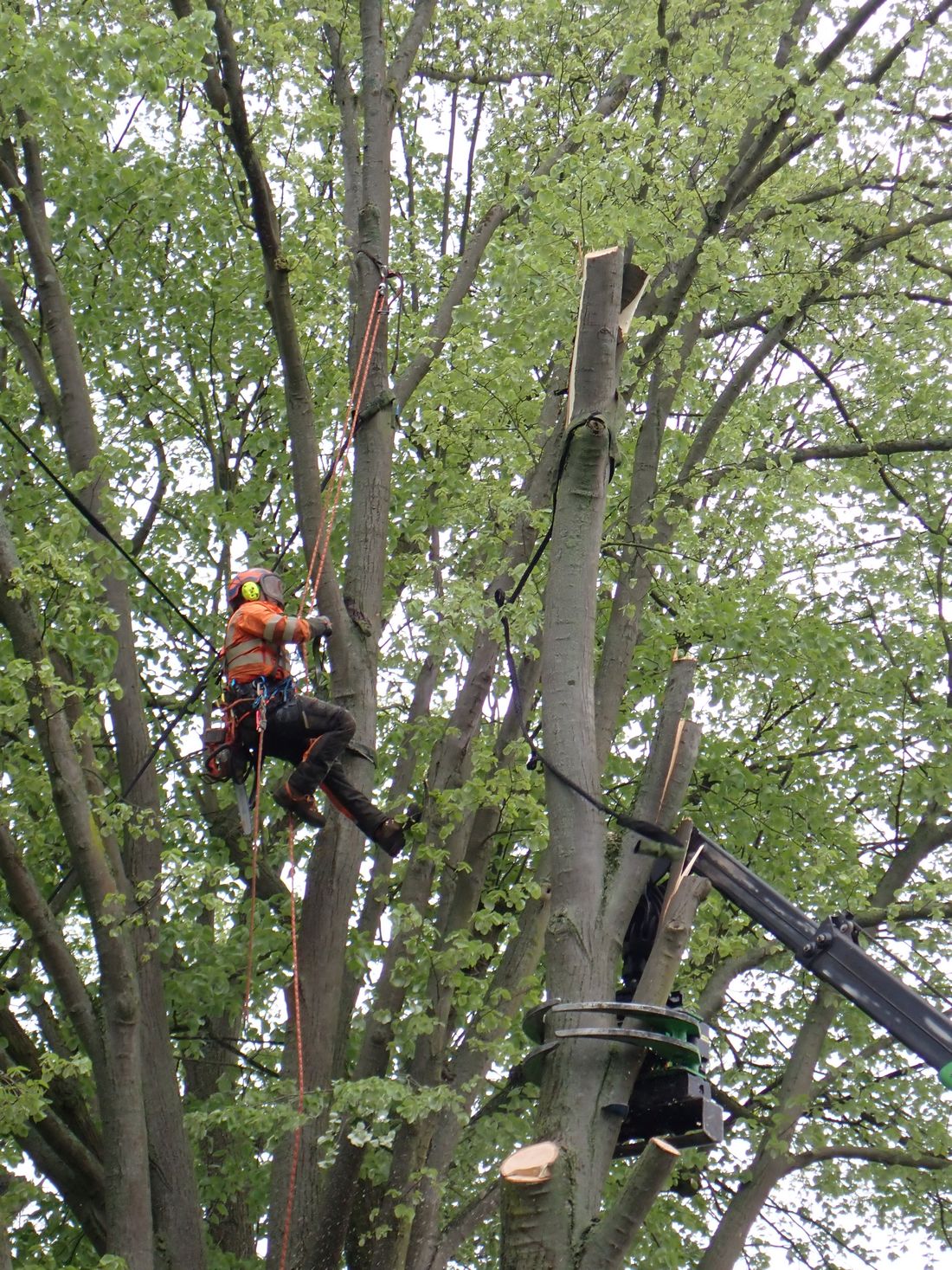 starkastbuedingen az2