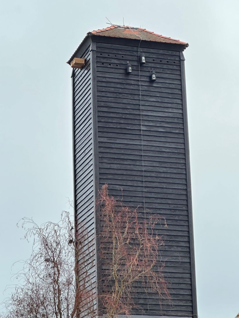 mauerseglerfleder2 kg