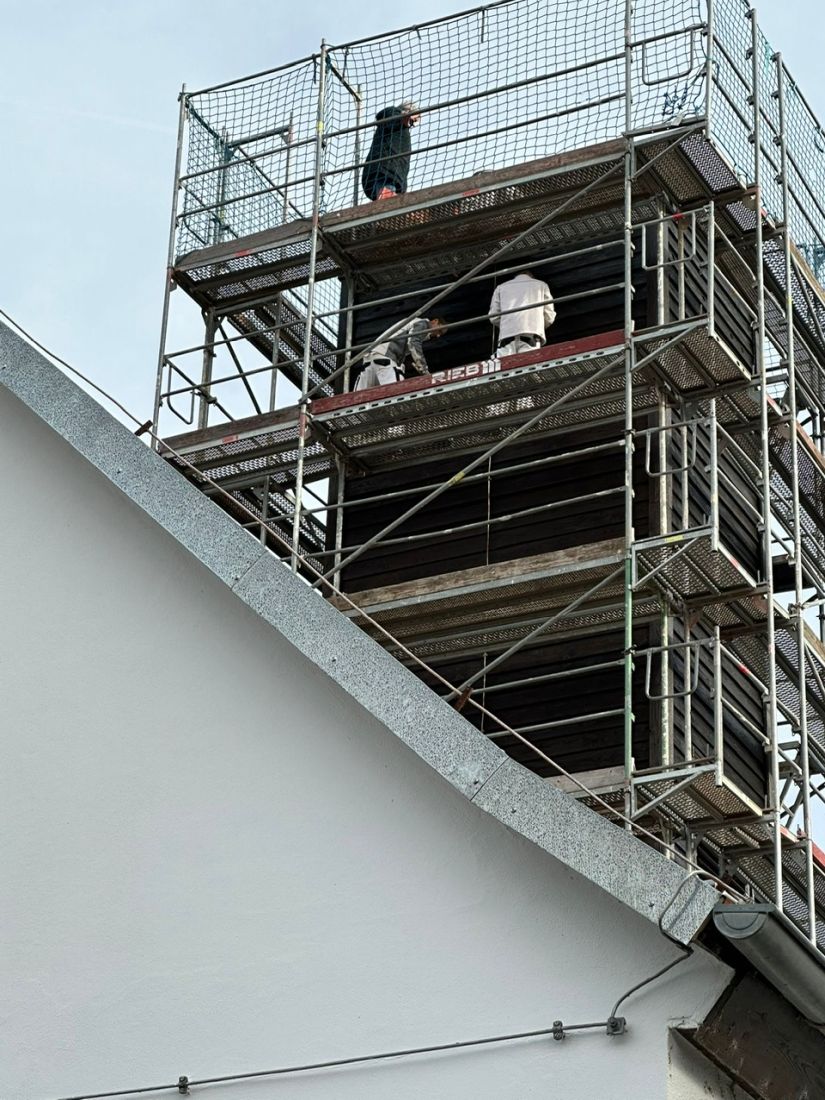 mauerseglerfleder3 kg