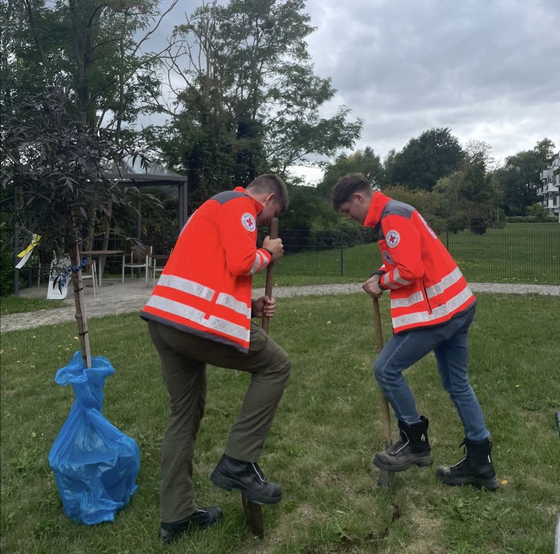 baumpflanzchallenge2 kg