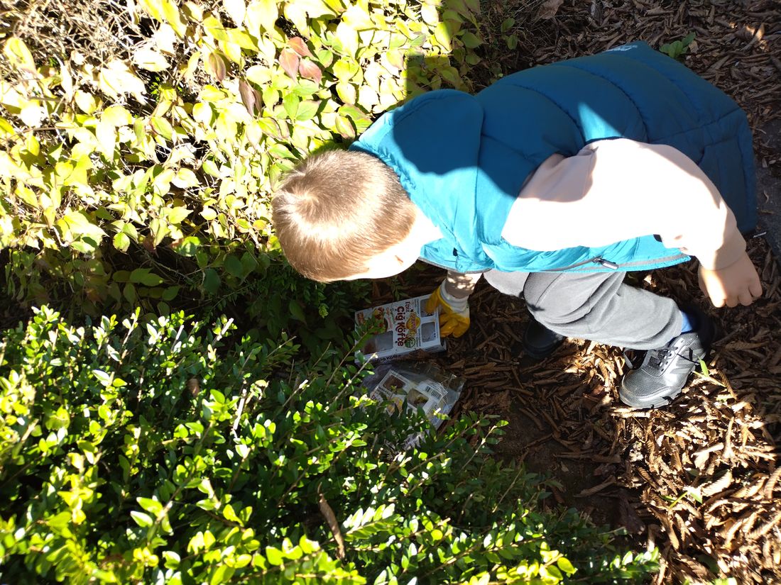 freiwilligerosabch az1